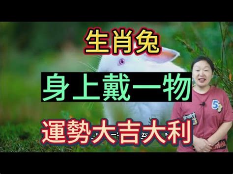 屬兔座向|屬兔人居家風水寶典